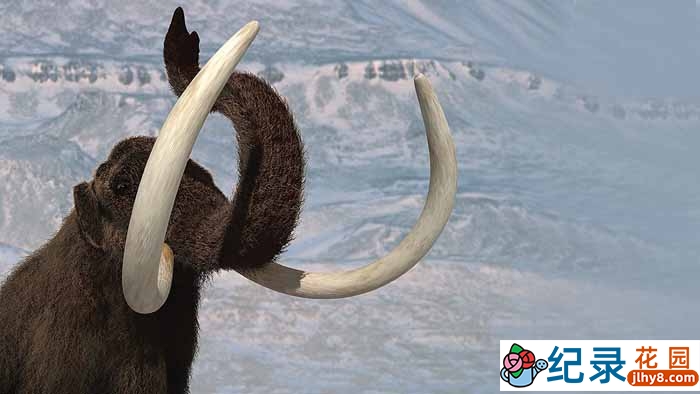 BBC史前时代纪录片《野性新世界 Wild New World》全6集 标清纪录片百度云下载