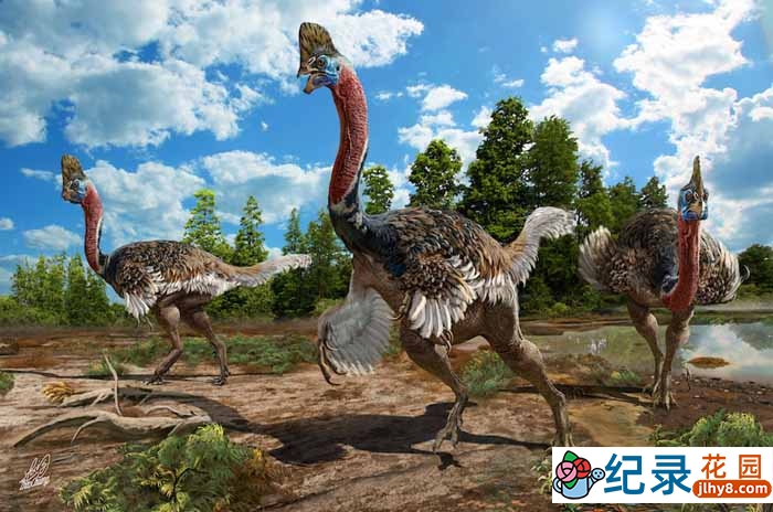 国家地理生物进化纪录片《演化足迹 迅猛火鸡 Dino Turkey》全1集 720P/1080i高清纪录片百度云下载