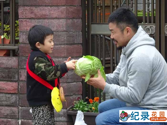 治愈系小鬼当家纪录片《我家宝贝大冒险 短视频版》全24集中字 标清自媒体解说素材百度云盘下载