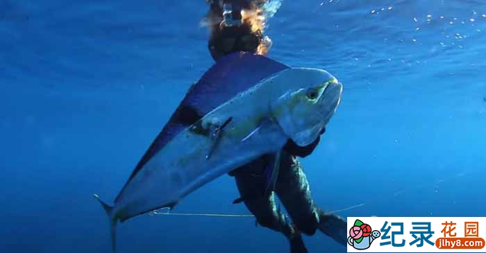 赶海捕捞纪录片《深海盛宴》第6季66集中字 1080高清纪录片解说素材百度云盘下载