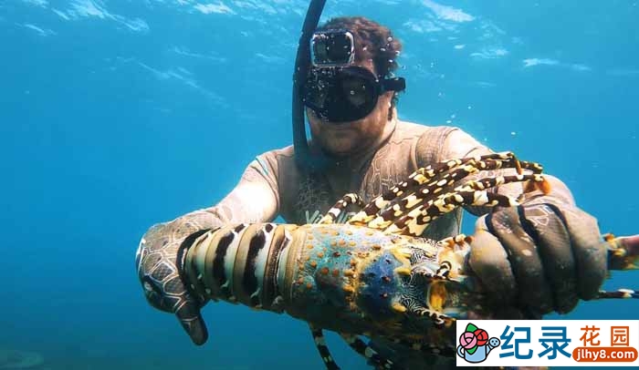 赶海捕捞纪录片《深海盛宴》第4季56集中字 720P/1080i高清纪录片资源百度云盘下载