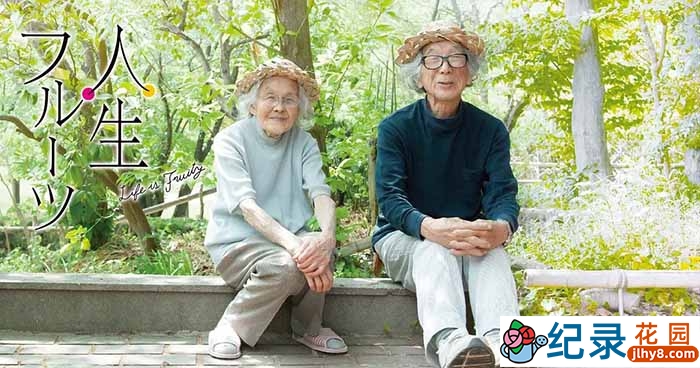 建筑设计纪录片《人生果实》全1集 720P/1080i高清纪录片资源百度云盘下载