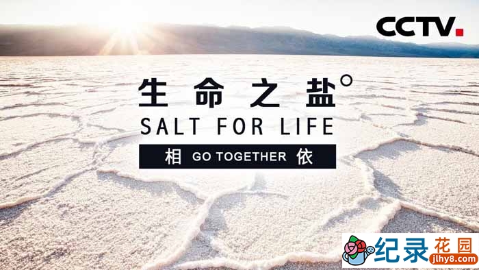 央视食盐史诗纪录片《生命之盐 Salt for Life》全6集 720P/1080i高清纪录片资源百度云盘下载