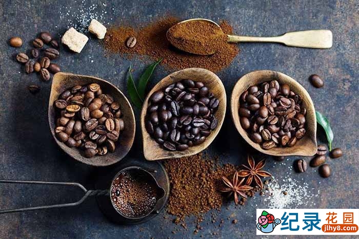 央视咖啡史诗纪录片《黑咖啡 Black Coffee》全3集 标清纪录片资源百度云盘下载