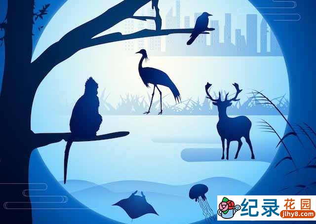 CCTV央视自然生态纪录片《家园：生态多样性的中国 China Wild》全5集 720P/1080i高清纪录片资源百度云盘下载