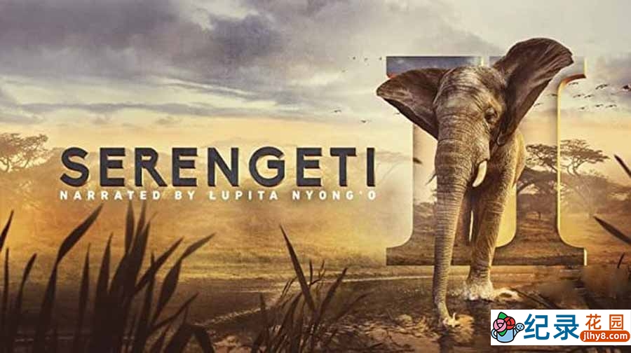 BBC自然生态纪录片《塞伦盖蒂 Serengeti》第2季全6集中字 纪录片资源百度云盘下载 1080/MKV/24.2G