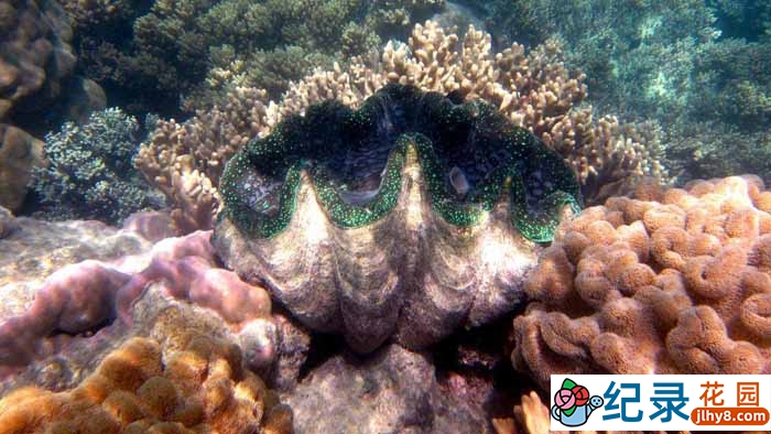 国家地理历史古迹纪录片《世界遗产大赏 Access 360 World Heritage》全2季 720P/1080i高清纪录片资源百度云盘下载