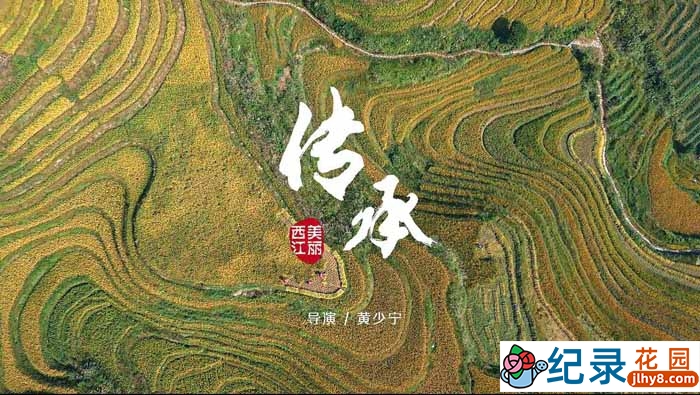 CCTV央视人文地理纪录片《美丽西江 Xijiang River》全12集 720P/1080i高清纪录片百度云