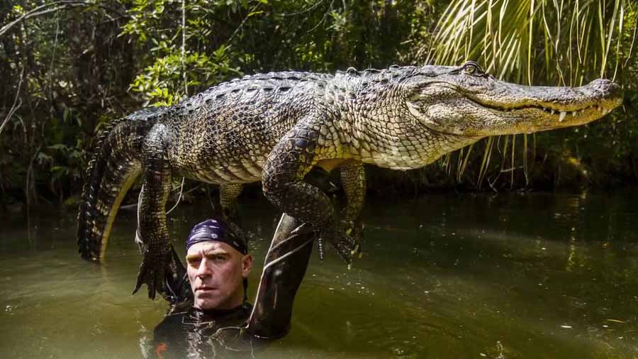 鳄鱼保护纪录片《捕鳄克星》第2季全6集中字 纪录片解说素材百度云盘下载 1080/MP4/14.5G
