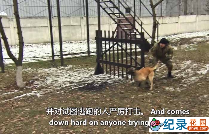 牢狱之灾纪录片《全球最硬核严酷的监狱》全26集中字 纪录片资源百度云盘下载 1080/MP4/23.3G