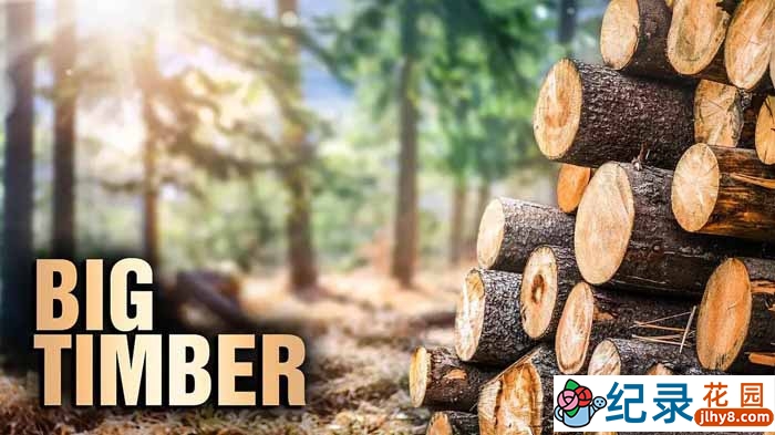 Netflix砍伐技能纪录片《终极伐木达人 Big Timber》第1季中字 自媒体解说素材百度云盘下载 1080/MKV/21.68G