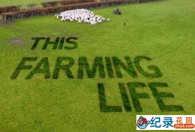 BBC传统农场经营纪录片《农耕生活 This Farming Life》第1季中字 自媒体解说素材百度云盘下载 1080/MKV/49.5G