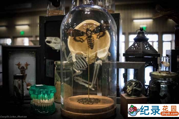 奇葩古董交易纪录片《暗黑杂货店》第1季中字 1080P高清自媒体解说素材百度云盘下载