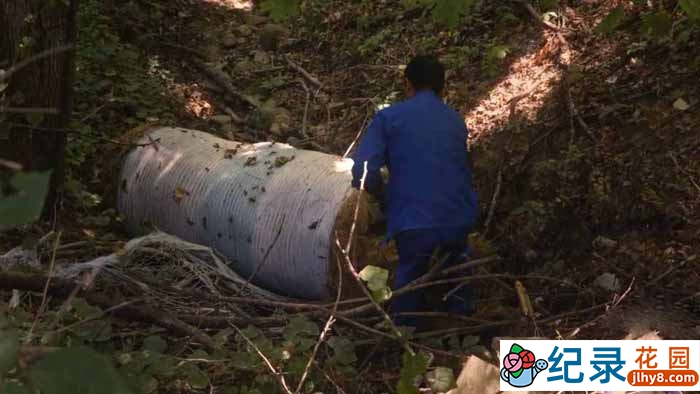 犯罪悬疑纪录片《寻找莹颖 Finding Yingying》全1集中字 1080P纪录片资源百度云盘下载