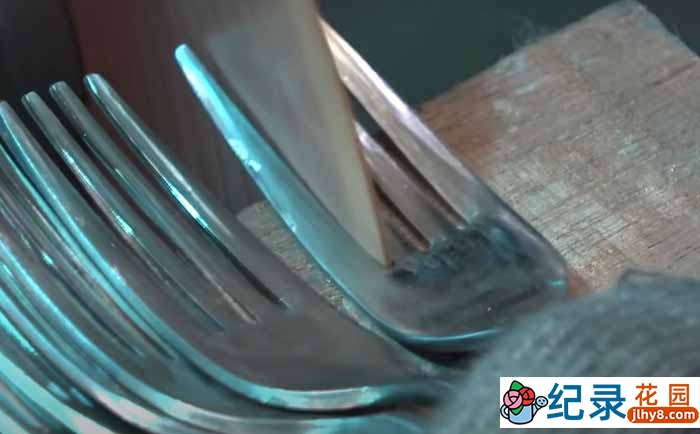 韩国版造物小百科纪录片《如何创造他们》第2季原版无字 1080P高清自媒体解说素材百度云盘下载