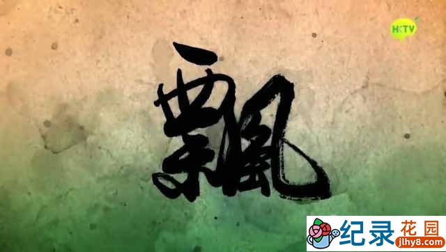 历史人文纪录片《飘 Gone with the Wind》全20集中字 标清纪录片资源百度云盘下载