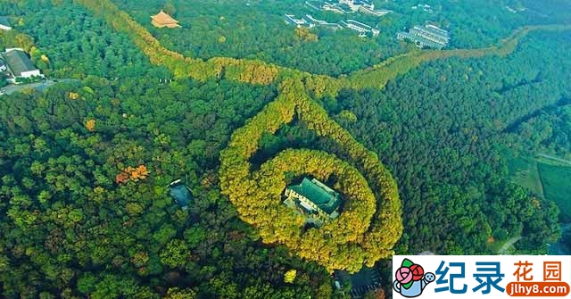 历史建筑纪录片《美龄宫残梦》全4集 1080P纪录片资源百度云盘下载