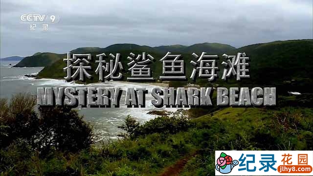 央视鲨鱼攻击事件纪录片《探秘鲨鱼海滩 Mystery at Shark Beach》全1集 TS/蓝光高清纪录片资源百度云盘下载