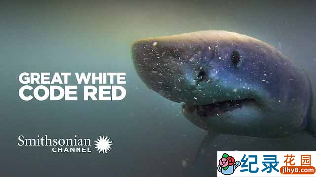 海洋生物纪录片《大白鲨感官探秘 Great White Code Red》全1集中字 TS/蓝光高清纪录片资源百度云盘下载