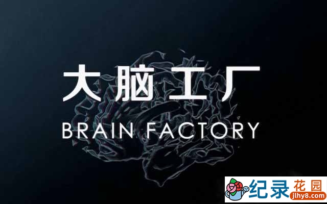 央视人体数字化纪录片《大脑工厂 Brain Factory》全1集 TS/蓝光高清纪录片资源百度云盘下载
