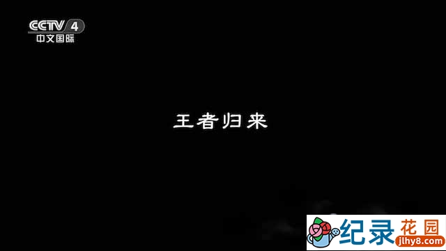 央视东北虎保护纪录片《王者归来-中国国家公园》全4集 TS/蓝光高清纪录片资源百度云盘下载