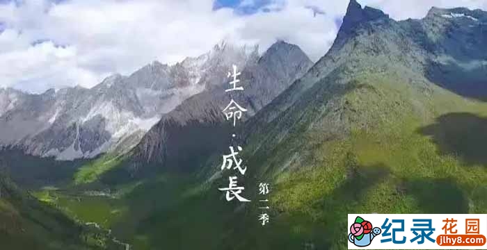 亲子教育纪录片《生命成长》第2季 1080P高清纪录片资源百度云盘下载