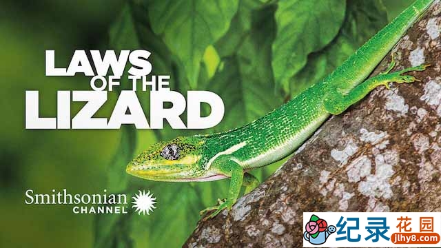生物进化纪录片《蜥蜴法则 Laws of the Lizard》全1集中字 TS/蓝光高清纪录片资源百度云盘下载