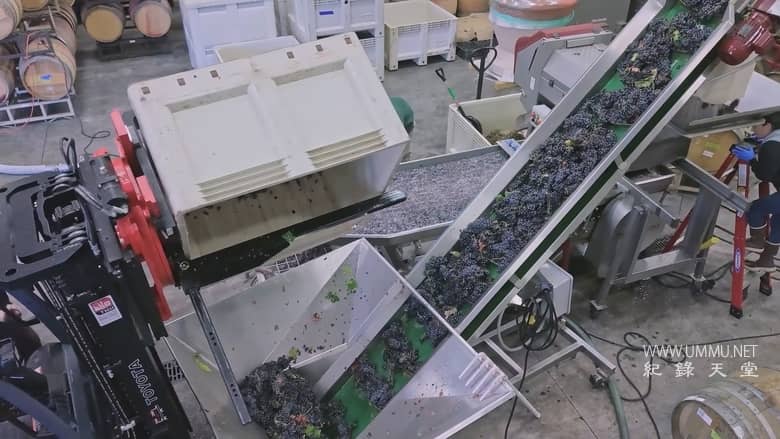 完美的年份 A Perfect Vintage