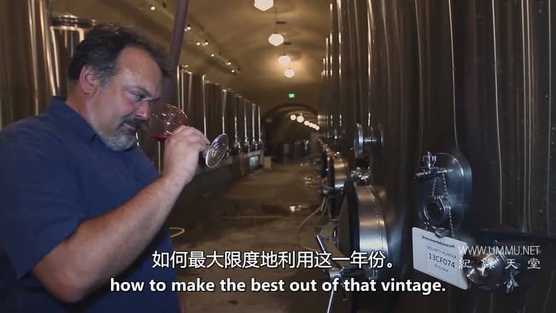 完美的年份 A Perfect Vintage