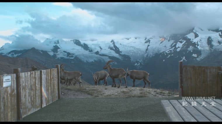 我们心中的一块石头 A Stone in Our Heart