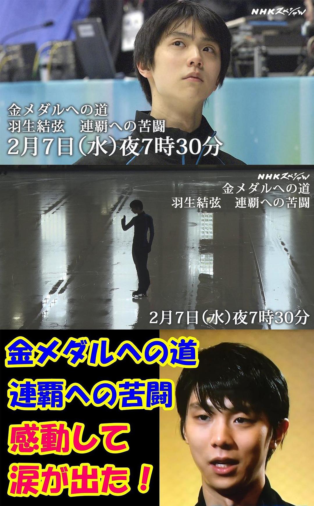 金牌之路 卫冕之路的苦战 金メダルへの道 羽生結弦 連覇への苦闘