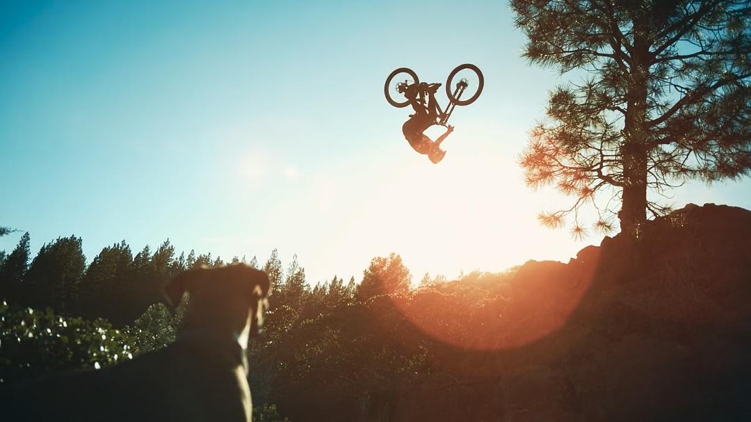 飙速同行：极限单车之旅 Accomplice