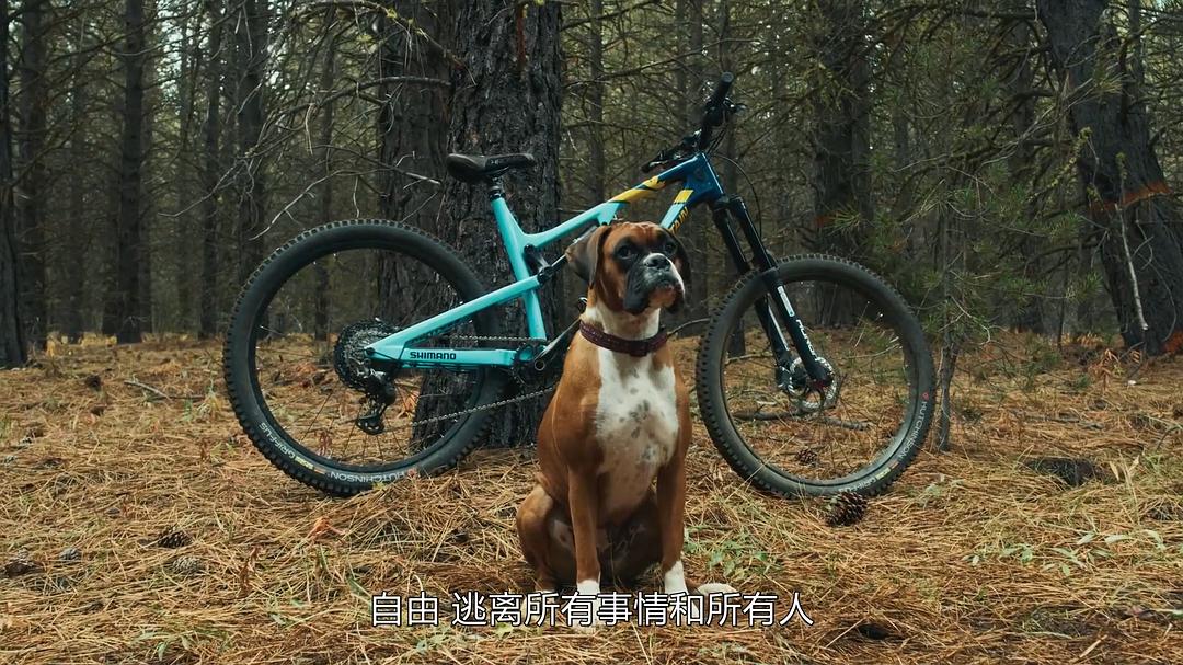 飙速同行：极限单车之旅 Accomplice