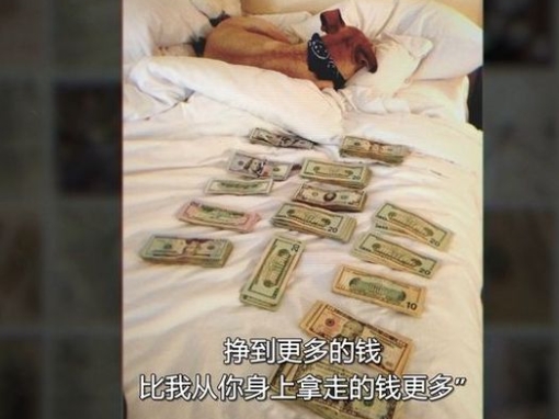 纯素败类：名声、诈骗、逃犯 Bad Vegan: Fame. Fraud. Fugitives.