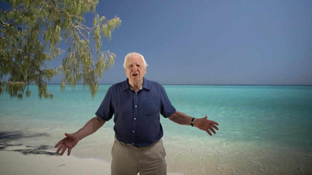 老爵爷的大堡礁之旅 Great Barrier Reef with David Attenborough
