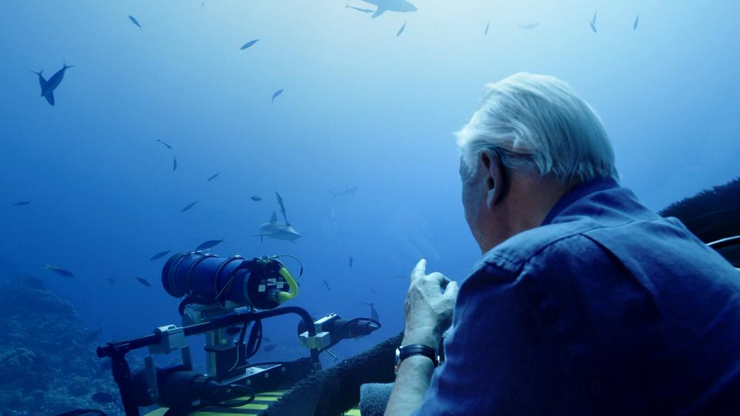 老爵爷的大堡礁之旅 Great Barrier Reef with David Attenborough