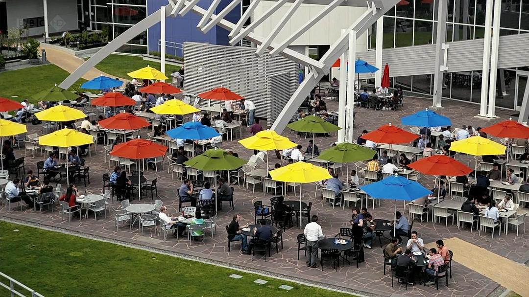 谷歌与世界头脑 Google and the World Brain