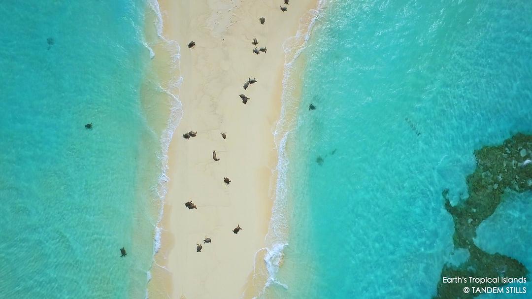 地球热带岛屿之旅 Earth’s Tropical Islands