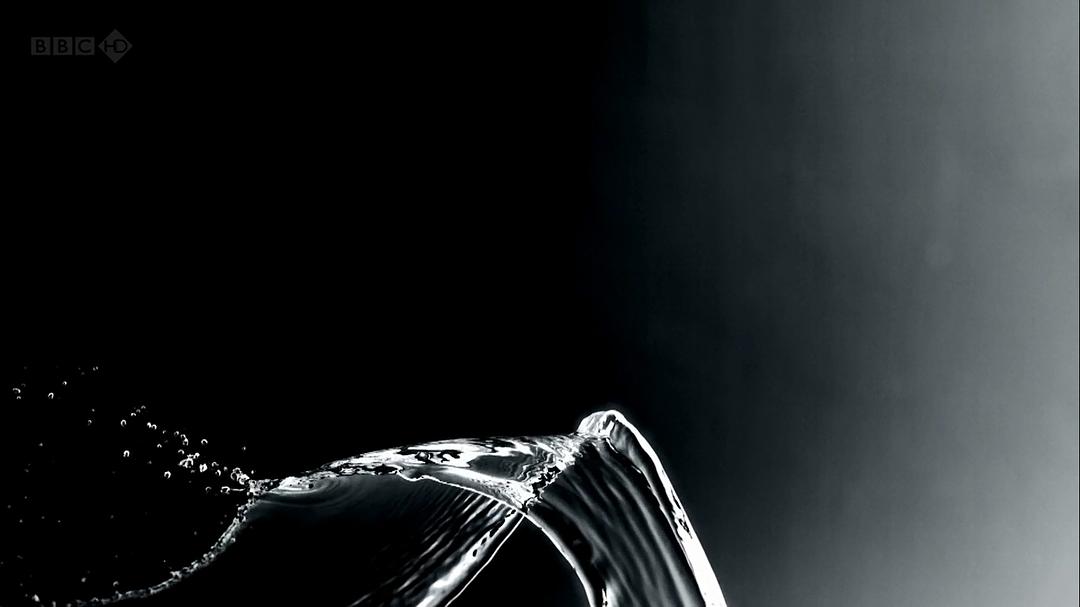 万物与虚无 Everything and Nothing