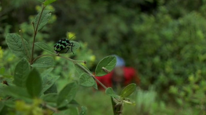 地球的故事 Earth Story