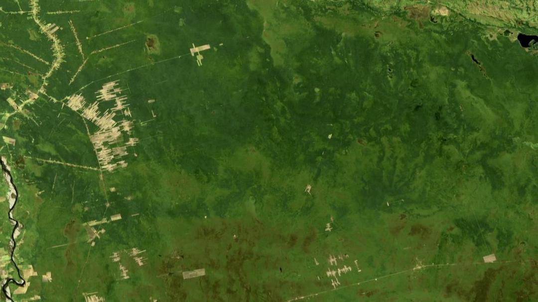 地球的力量 Earth: The Power of the Planet