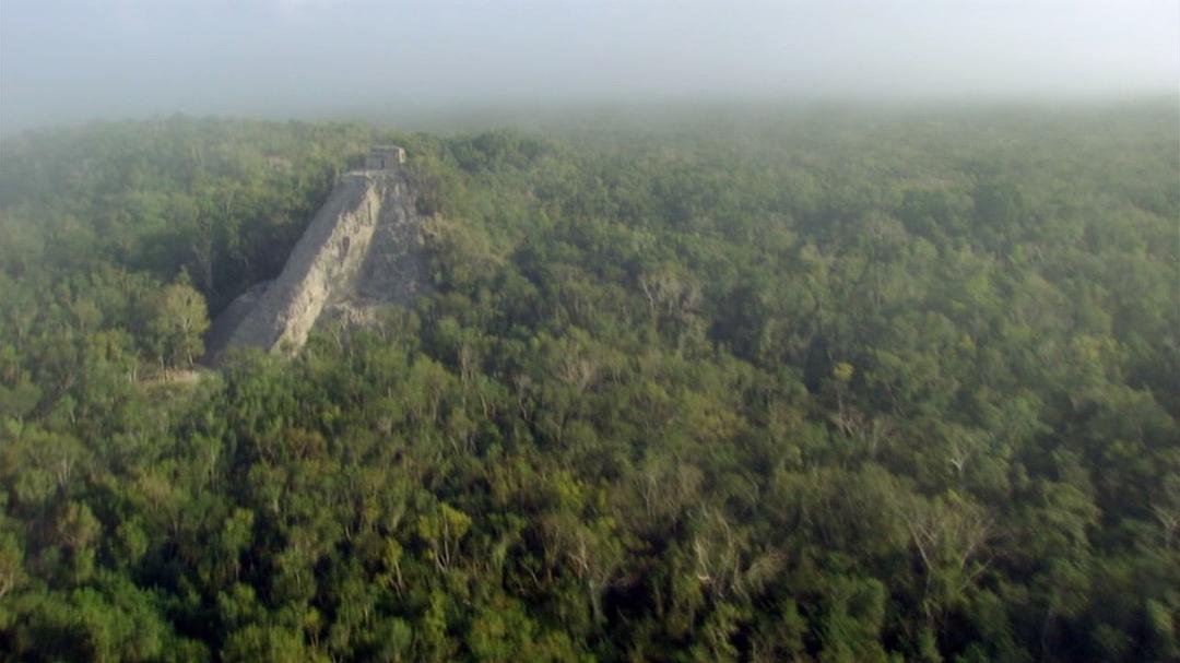 地球的力量 Earth: The Power of the Planet