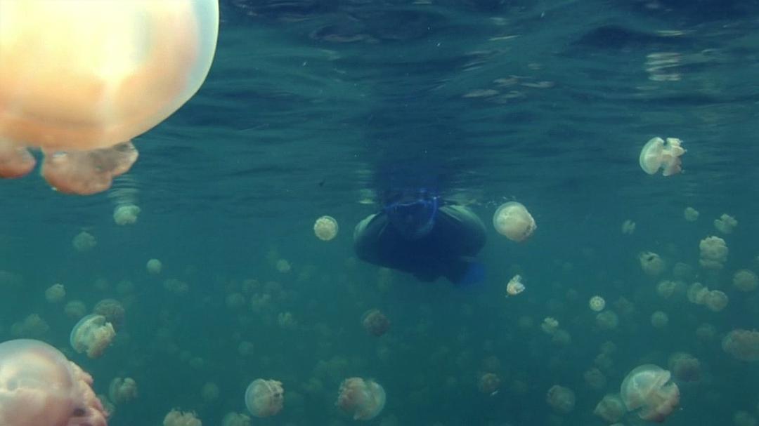 地球的力量 Earth: The Power of the Planet