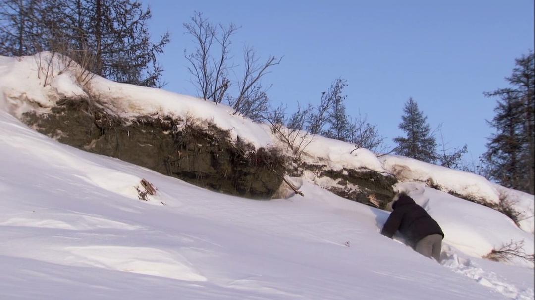 地球的力量 Earth: The Power of the Planet