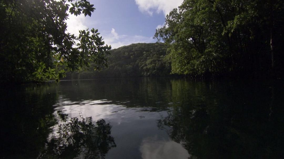 地球的力量 Earth: The Power of the Planet