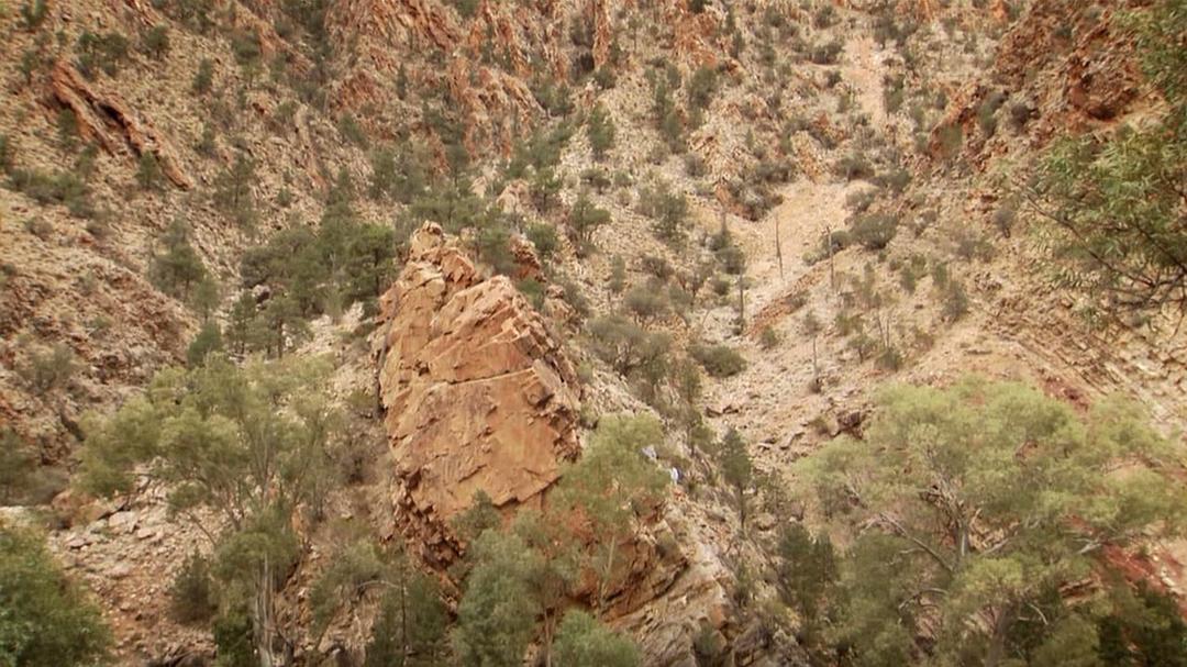 地球的力量 Earth: The Power of the Planet