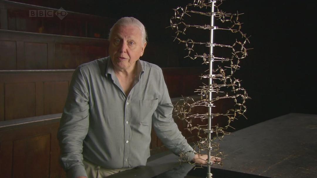 达尔文和生命之树 Charles Darwin and the Tree of Life