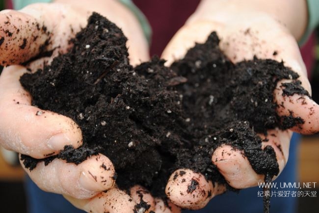 土壤科学 Deep Down and Dirty The Science of Soil