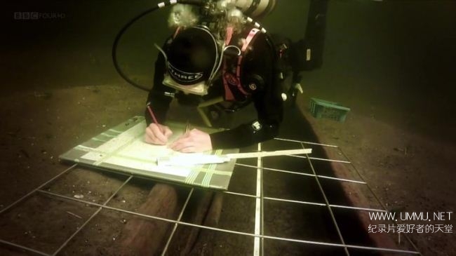 为爱而挖 Digging for Ireland