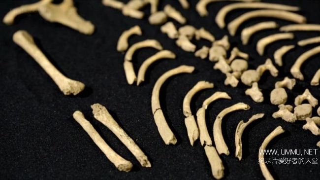 为爱而挖 Digging for Ireland